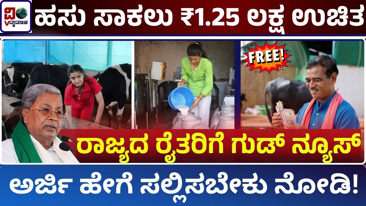 Dairy Subsidy