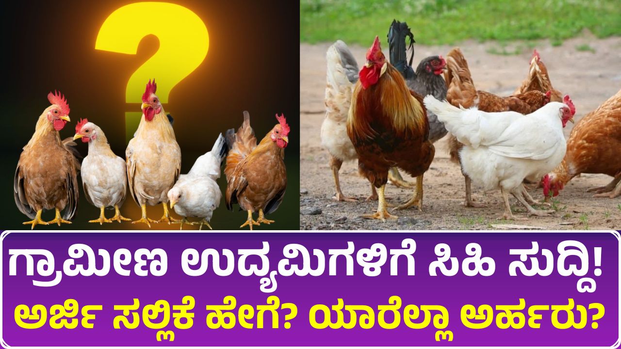 Government subsidy for poultry farming