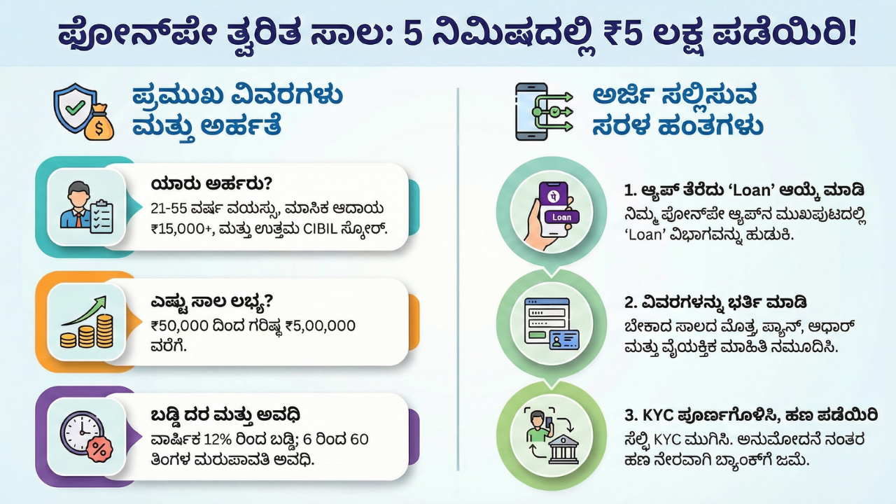 phonepe loan information