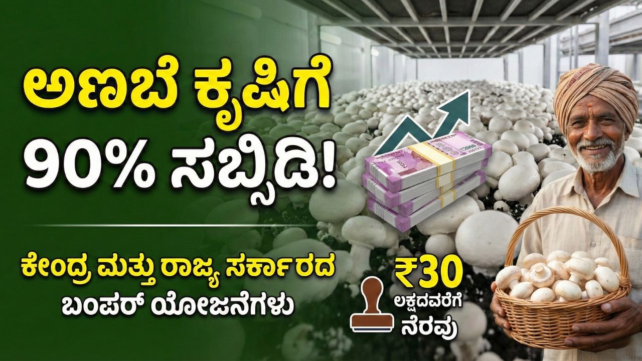government-subsidy-for-mushroom-farming
