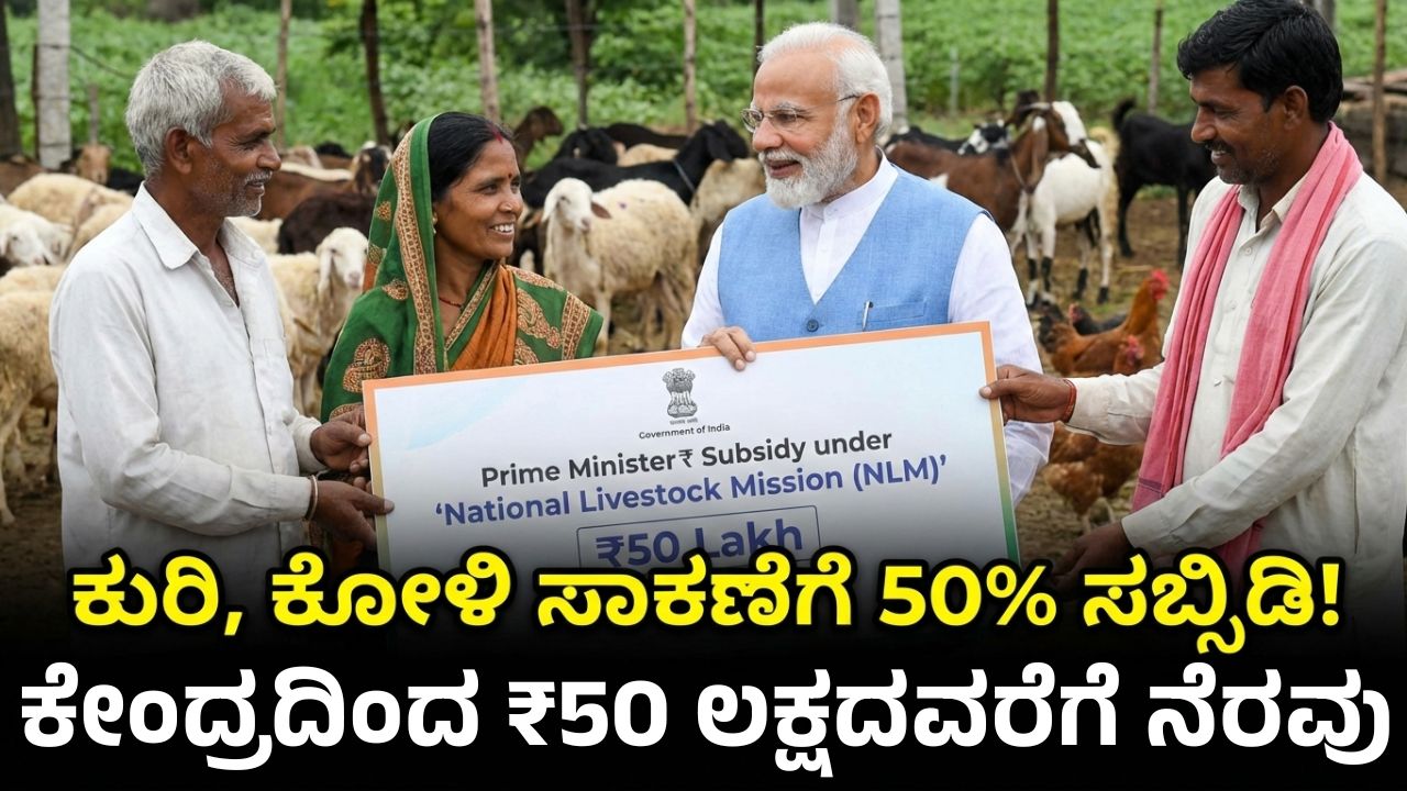 nlm-yojana-kuri-koli-handi-sakane-50-percent-subsidy